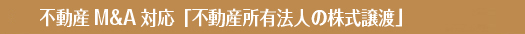 E 不動産M&A対応「不動産所有法人の株式譲渡」