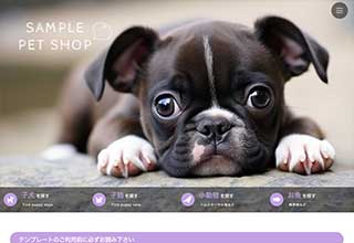 tp_petshop1_purple
