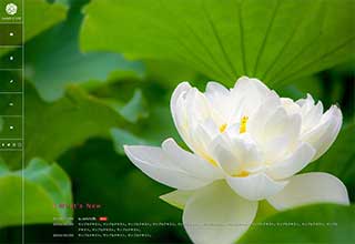 tp_biz52_flower