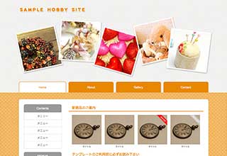 tp_hobby5_orange