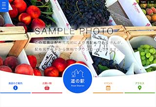 tp_bussan2_blue