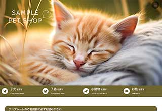 tp_petshop1_brown